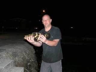 grouper caught in florida keys